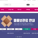 월드구매대행