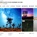 별 | 조슈아트리 투어 국립공원 별 구경 입장료 후기