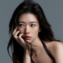 새로이엔터테인먼트 티브이데일리