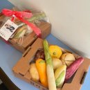 구황작물 이미지