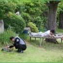 빈하우스 이미지