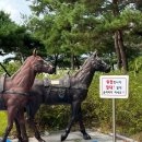 부여백제(서천) 이미지