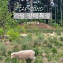 채은목장 네이버블로그