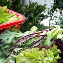 고향펜션캠핑 이미지