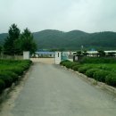 황룡초등학교 이미지