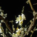 남대민박 이미지