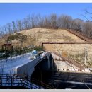 이한규 묘 이미지