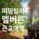 해남섬민박 | 멜버른 퍼핑빌리 투어 내돈내산 후기, 땡스투어 / 멜버른 근교 여행 1월 2월