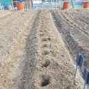 가창종묘사 이미지