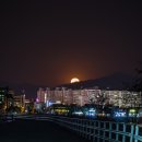 월출밧데리 이미지