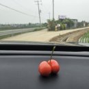 시후농장 네이버블로그