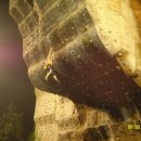 종합운동장 인공암벽등반 이미지