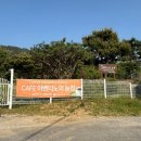 용두농장 | [ 광주 서구 용두동 아벤티노의 농장 ] 방문 후기 | 반려동물 무료 입장이 가능한 넓은 정원이 있는...