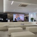 강남성모원안과의원 네이버블로그