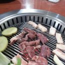 꽃돼지세상