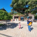 큰마을영양굴밥 이미지