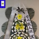 뉴-타운플라워