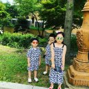 소화초교 | 동탄 분당 반포 살아보며 느낀 학군 vs 비학군 분위기