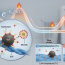 슬기로운세탁생활 이미지