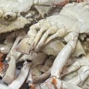 꽃게가찜했어 이미지