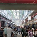 제주시 민속오일시장 6주차장 머니투데이