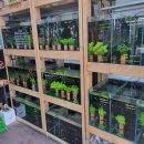 비즈아쿠아수족관 이미지