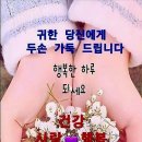 멋진 하루 이미지