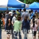 효성초교 이미지