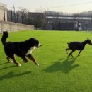 청당산업길 이미지