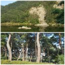 다락2리 이미지