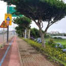 일부2리 이미지