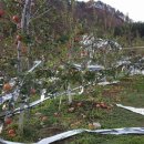 박금숙농장 이미지