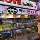 이까야 | 부산 부평 이까야 독도꽃새우 다녀오다!
