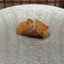 하루나 | 대구 신천동 동대구역 근처 내돈내산 기념일 맛집 가성비좋은 오마카세 스시하루나 주말 방문후기