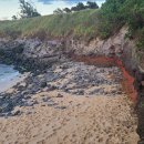 거북이모텔 이미지