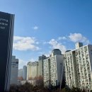 양지물산