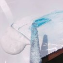 [안산/원데이클래스] 안산 공방에서 백드롭 페인팅! + 찐 반려견동반