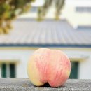 우림세탁소 이미지