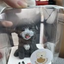 퍼피비스킷 이미지