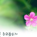 가치창조