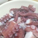 해계머니 이미지