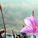 오월의 그루밍 이미지