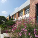 월항초등학교 이미지