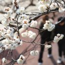 화락고기집 이미지