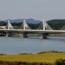 대교여행사