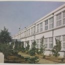 강진대구중학교 이미지