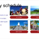 나래여행사