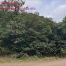 사전리마을회관 이미지