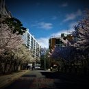 합동전국공인중개사사무소 이미지