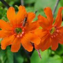 숨결이 바람 되어 이미지